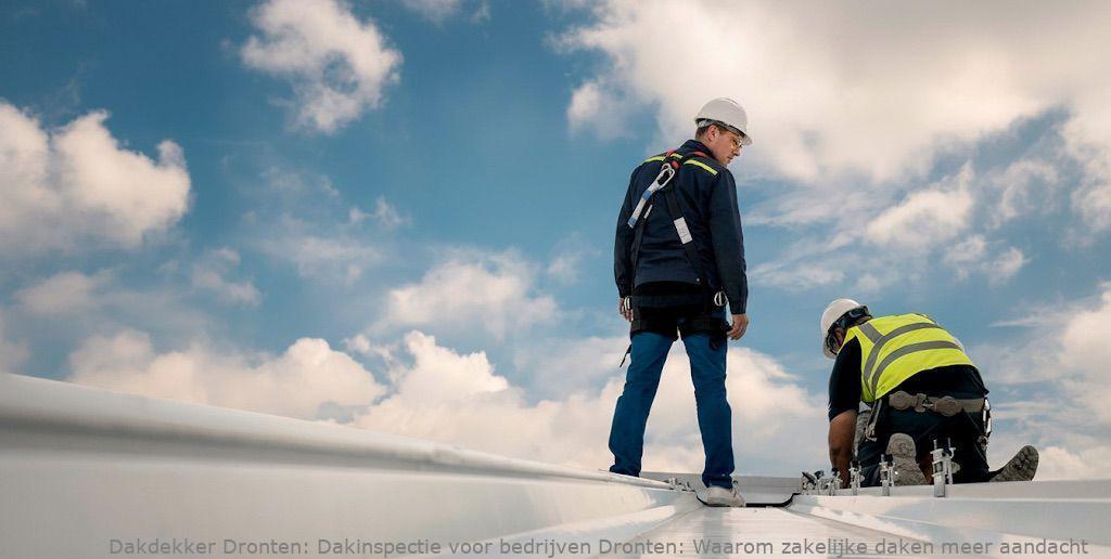 Dakinspectie Voor Bedrijven Dronten