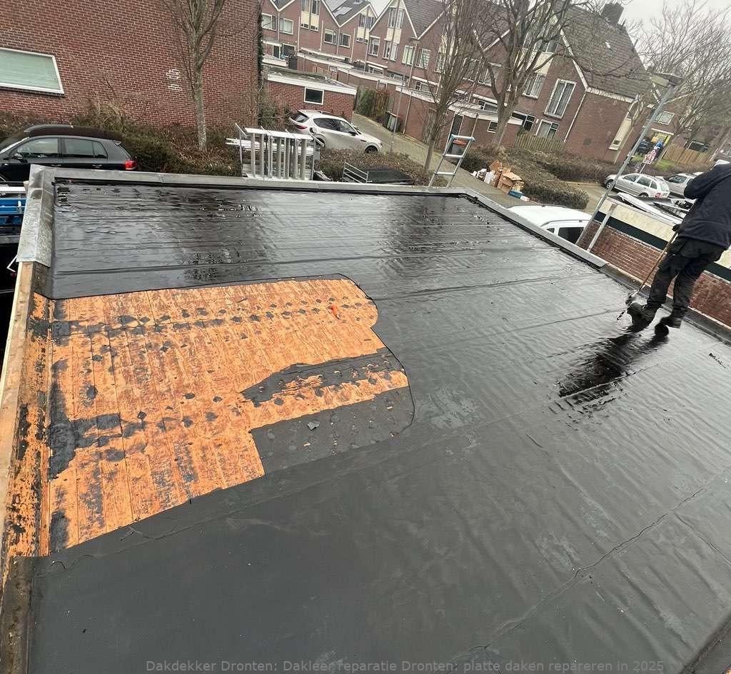 Dakleer Reparatie Dronten