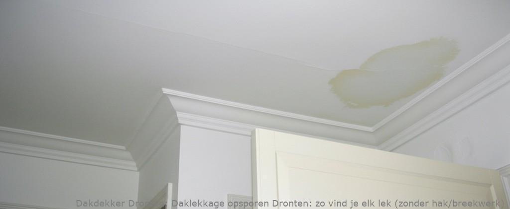 Daklekkage Opsporen Dronten 1
