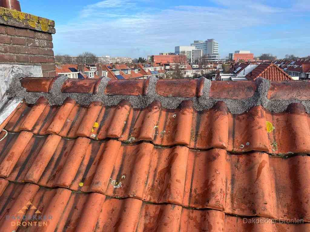 Dronten Daken Renoveren
