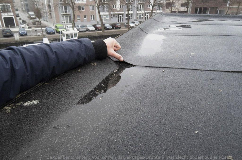 Voorkomen Daklekkages Dronten